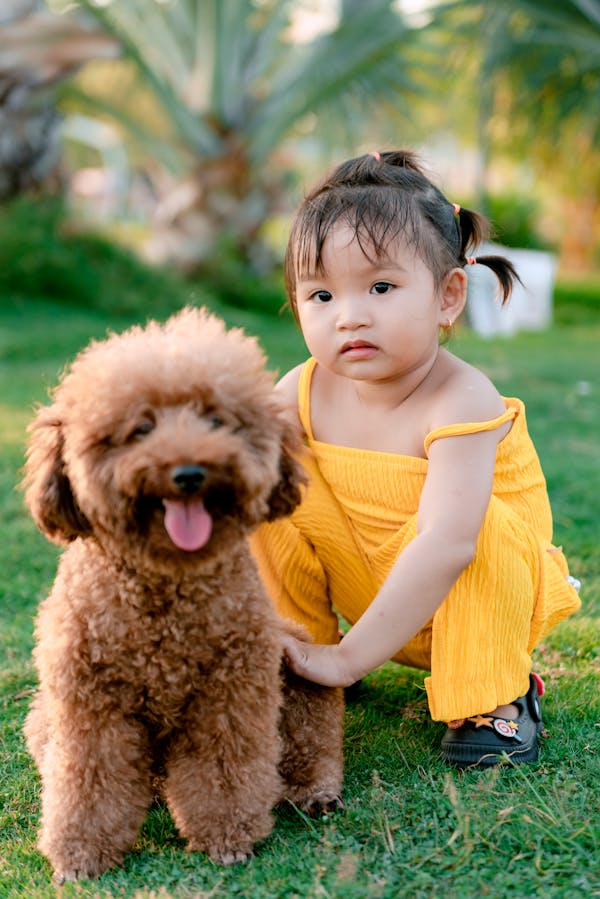 The Best Poodle Breeds for Families with Kids